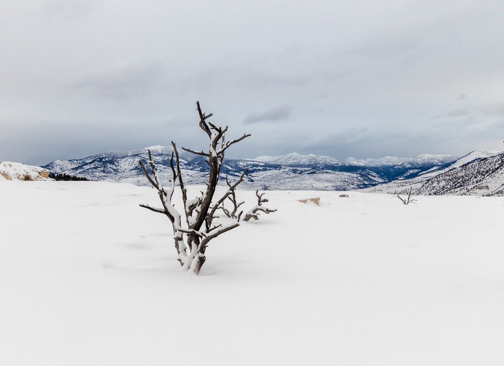 Photograph by Анатолий Костерев