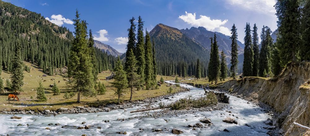 Karakol Gorge. Panorama.