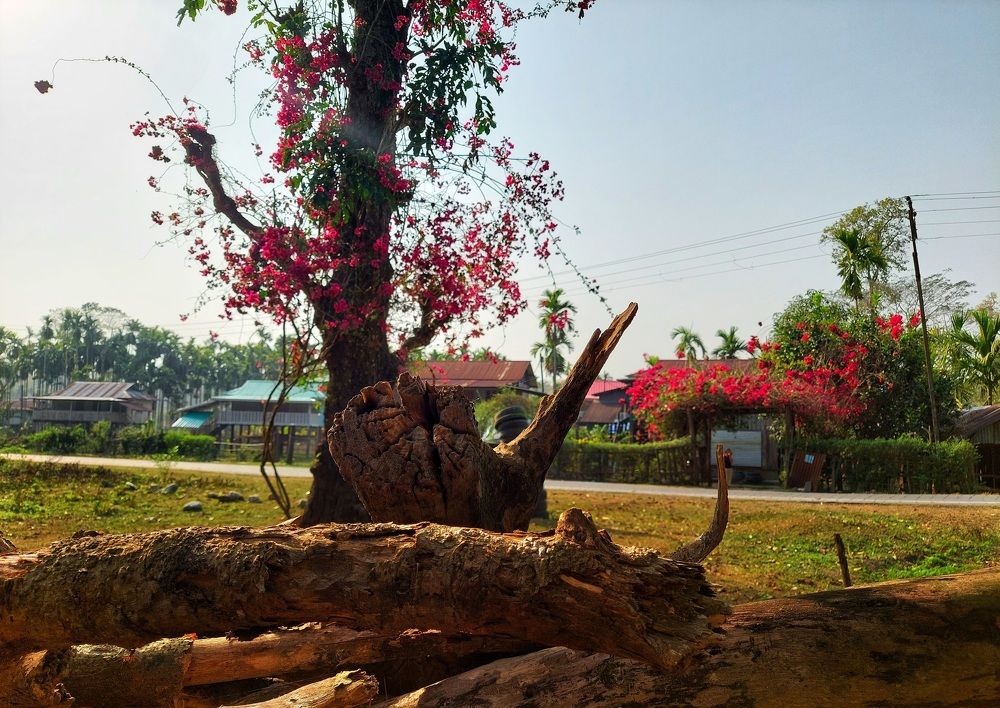 Photograph by Piyali Dutta