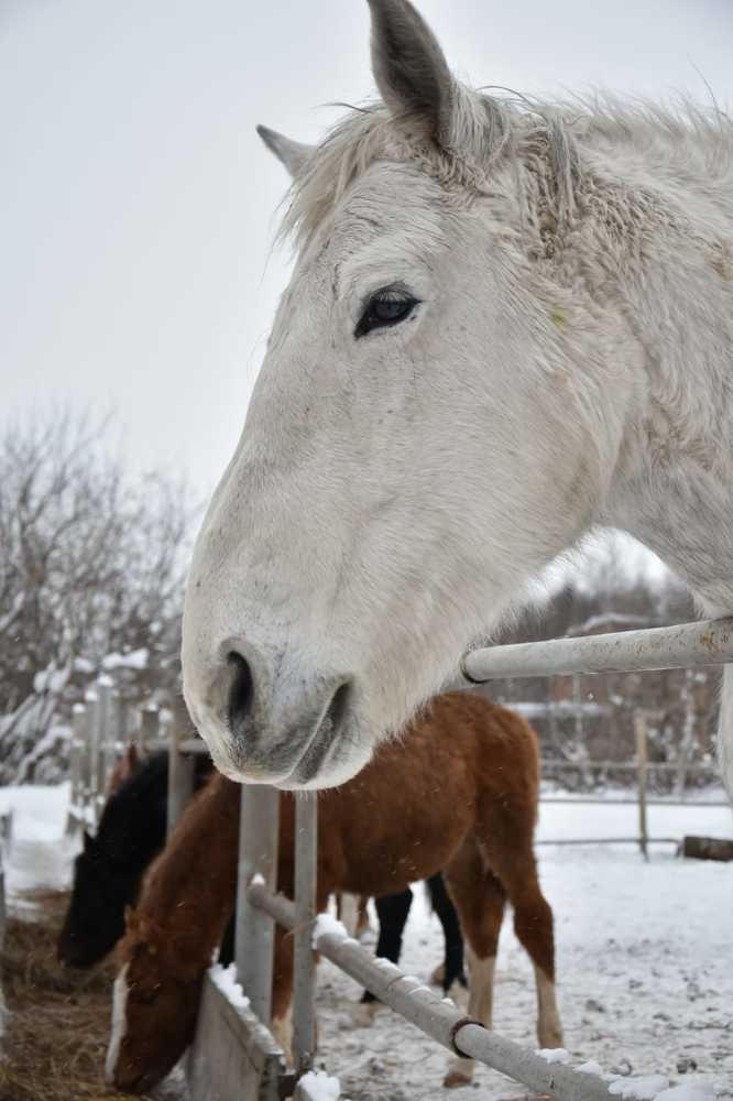Photograph by Наталья Сорокина