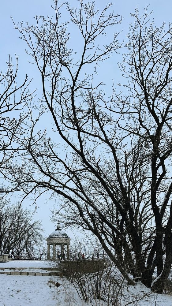 Photograph by Мария Алейникова