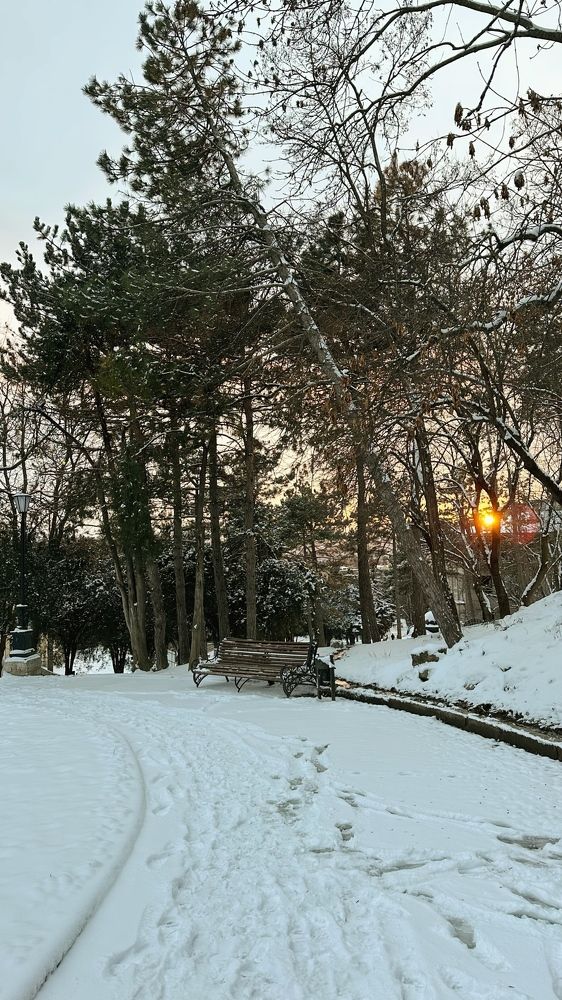 Photograph by Мария Алейникова