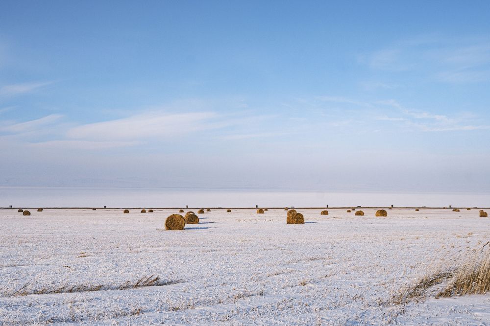 Photograph by Денис Вавилов