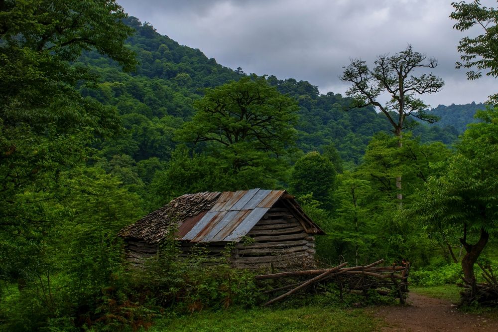 Фотография автора Milad Falahi