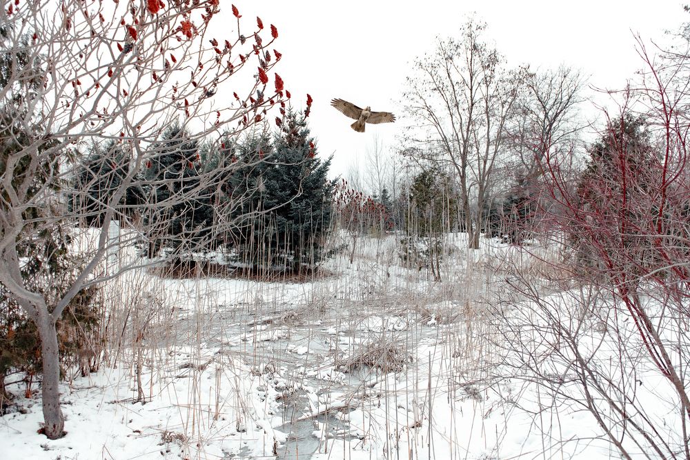 Photograph by Аліса Володченкова