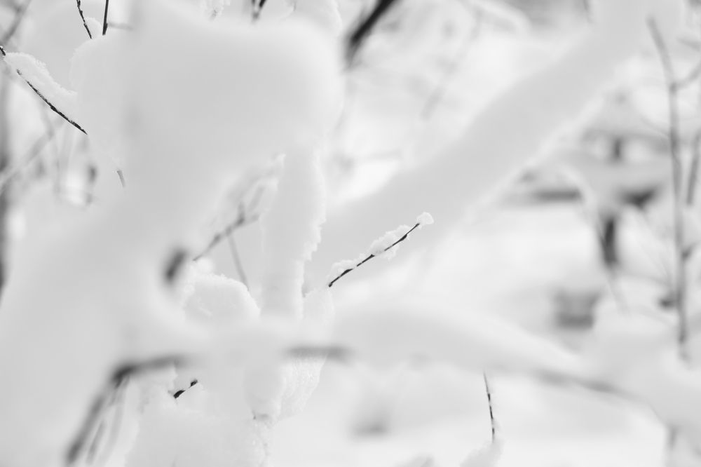 Photograph by Ксения Юргенфельд