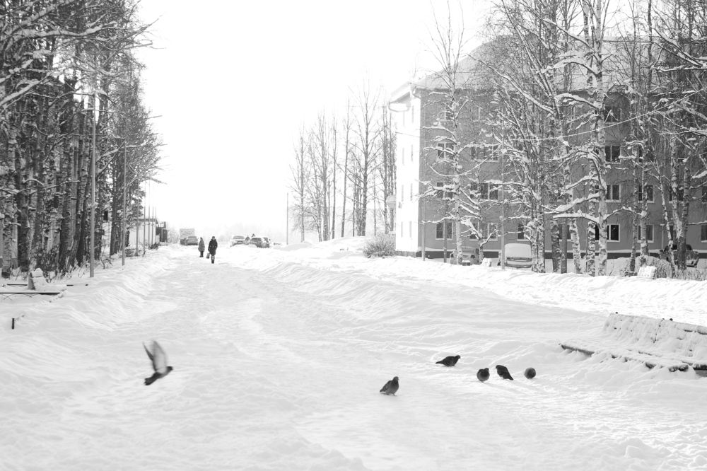 Photograph by Ксения Юргенфельд