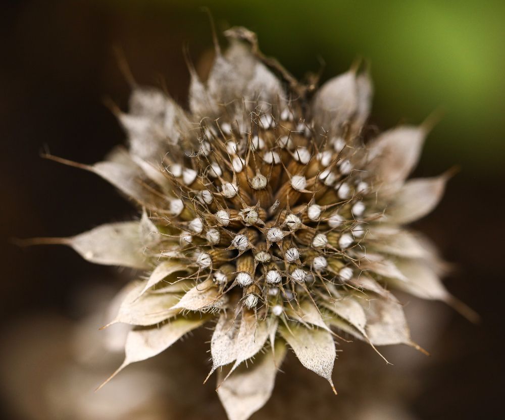 Photograph by Елена Одынец