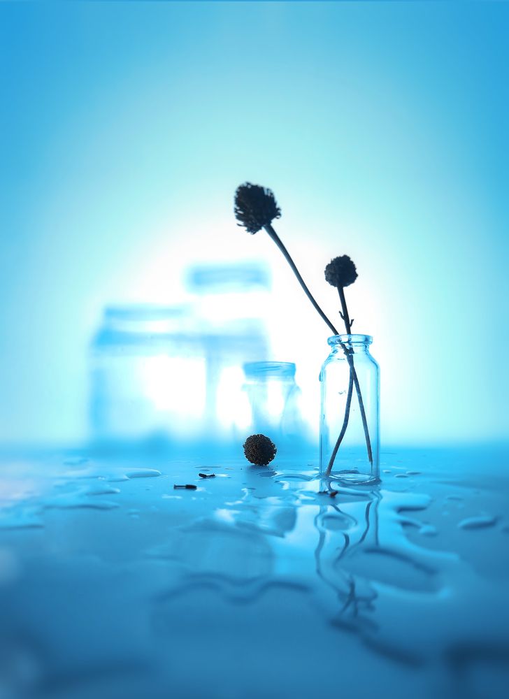 Photograph by Злата