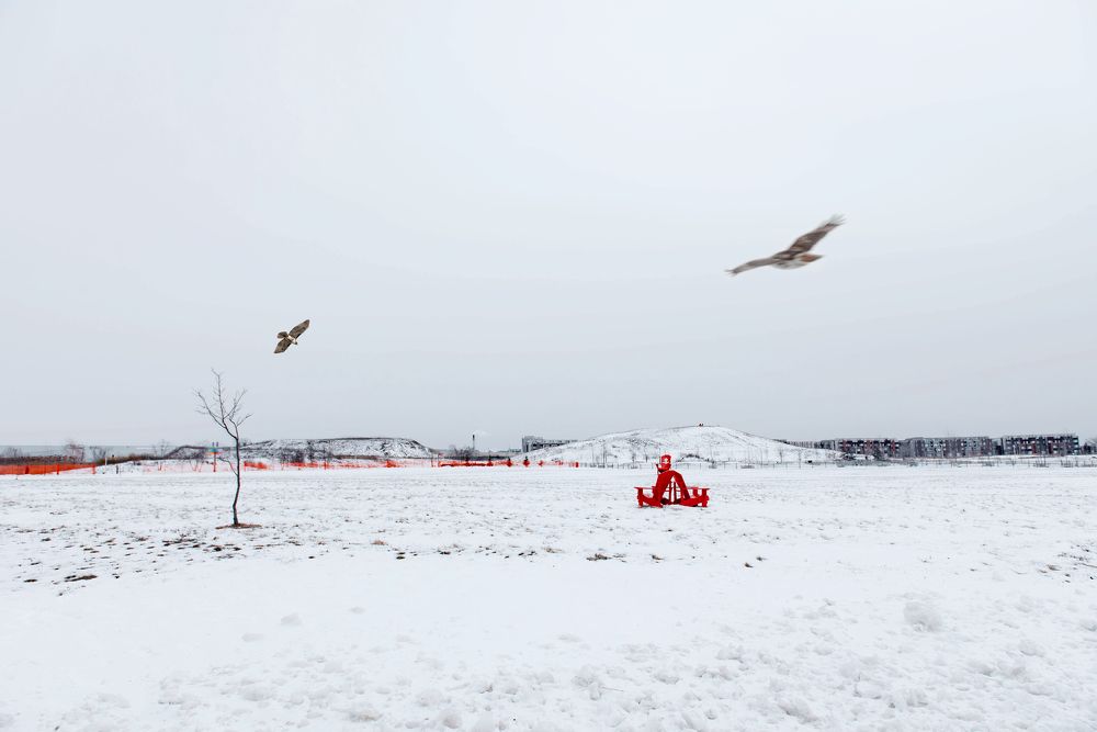 Photograph by Аліса Володченкова