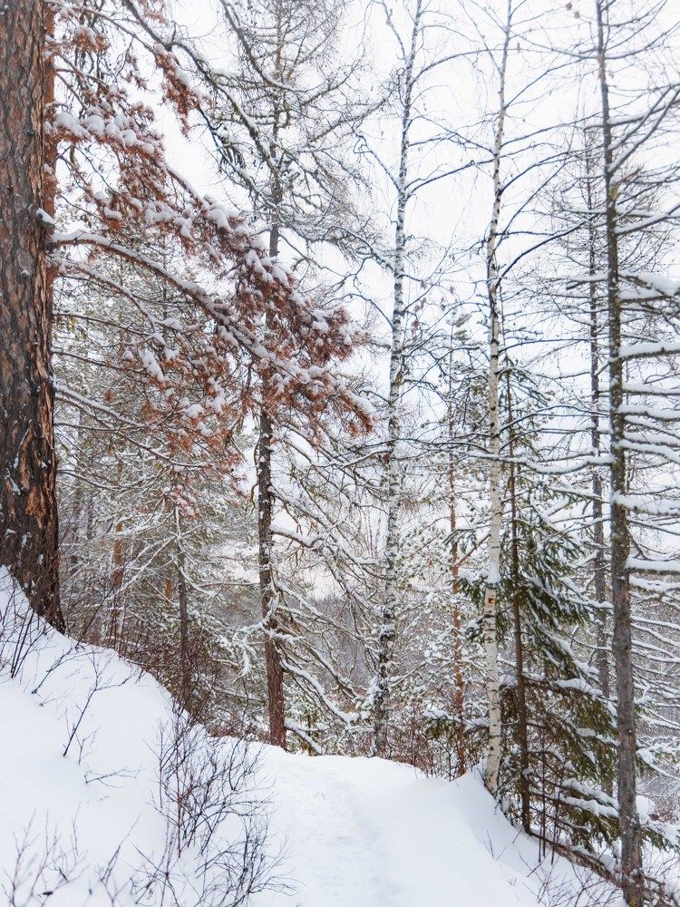 Photograph by Максим Фролов