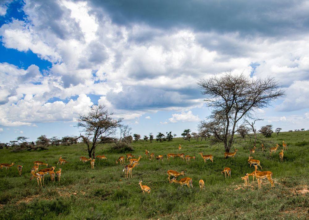 Photograph by Teju Chandrashaker