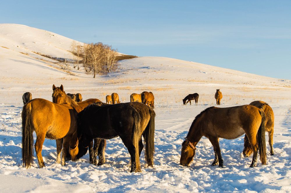 Photograph by Максим Фролов