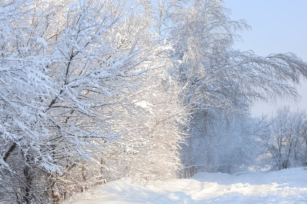 Photograph by Оксана Макрушина