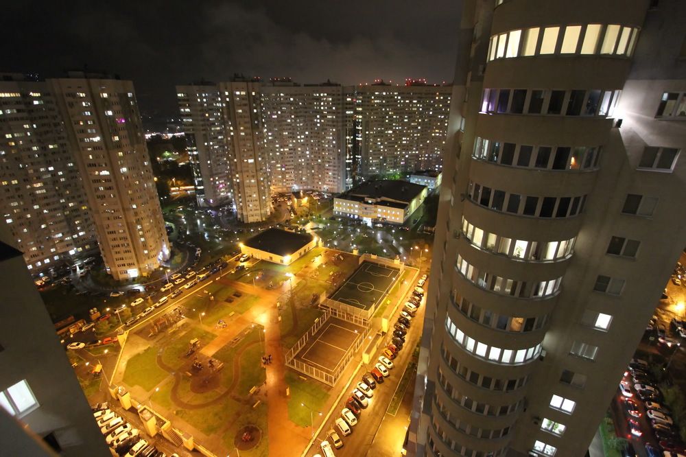 Городские джунгли