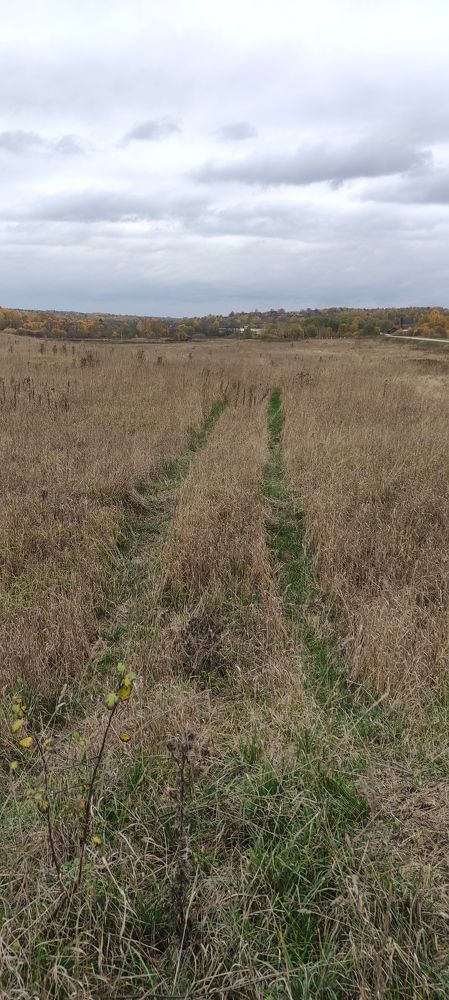 Фотография автора Васильева Ирина