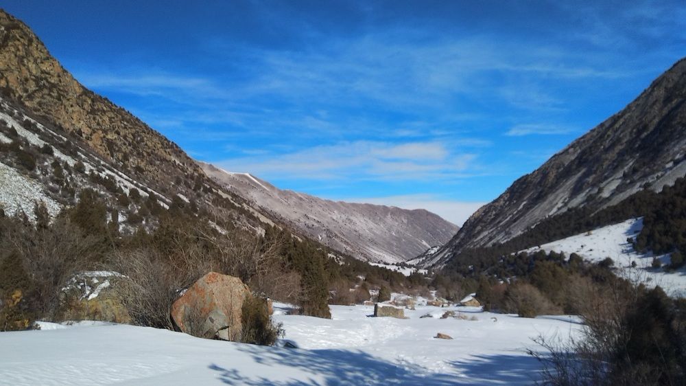 Photograph by Наиля Омарова