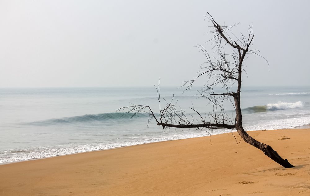 Lazy Beachside