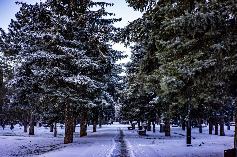 Photograph by Роман Крупченко