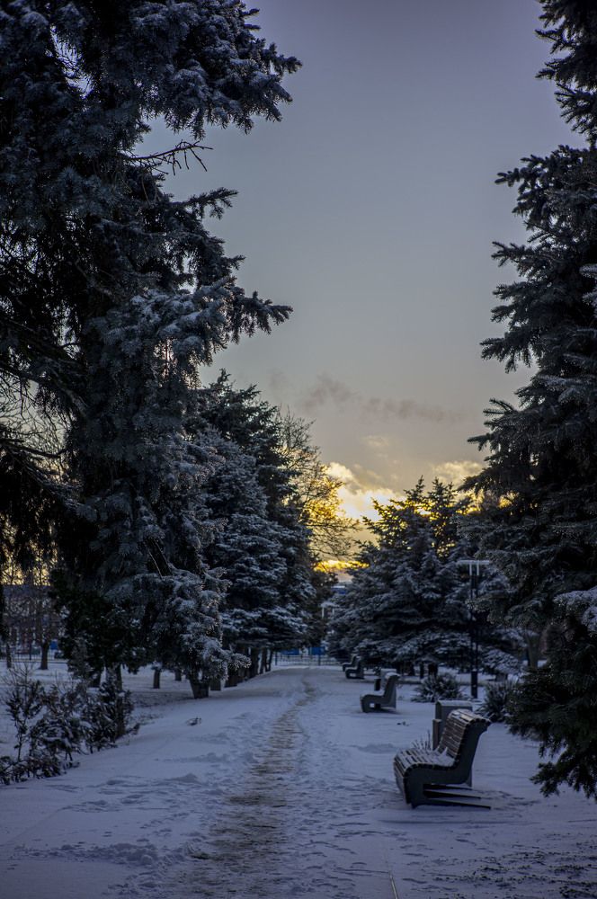 Photograph by Роман Крупченко