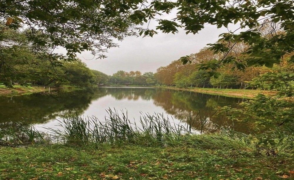 Фотография автора Илья