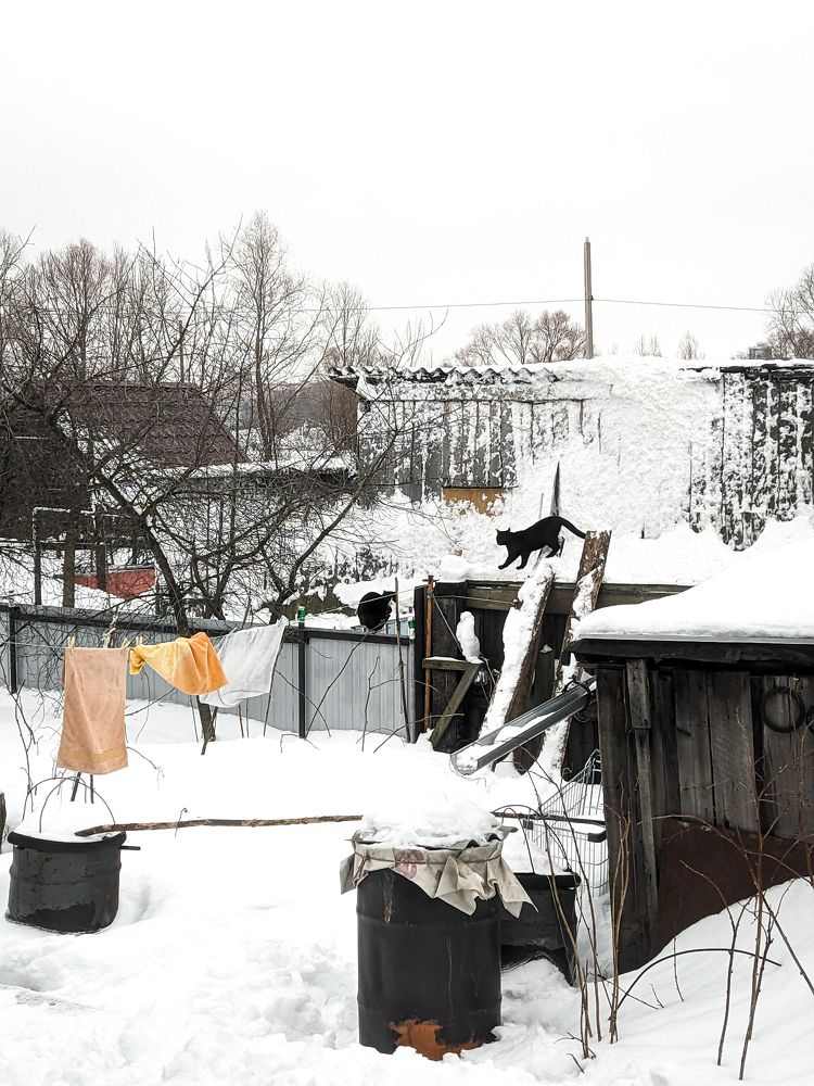 Фотография автора Пётр Чирков