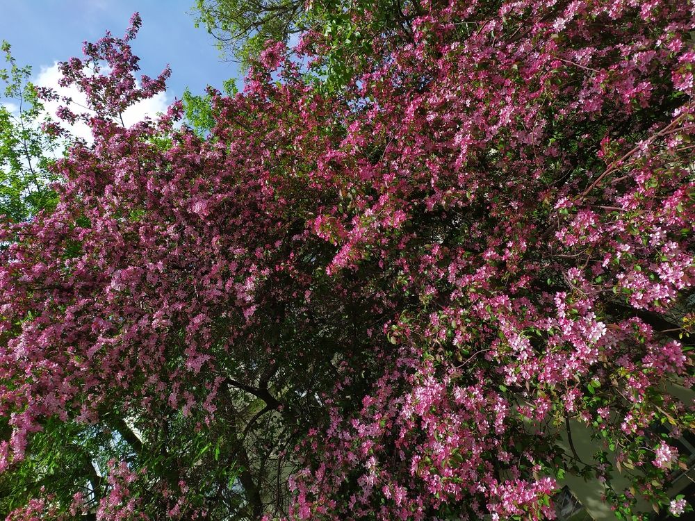 Фотография автора Анастасия Демина