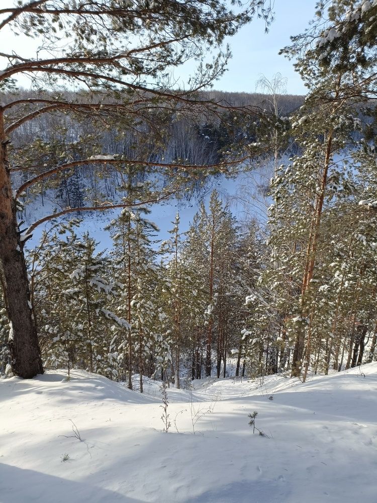 Photo #10174434