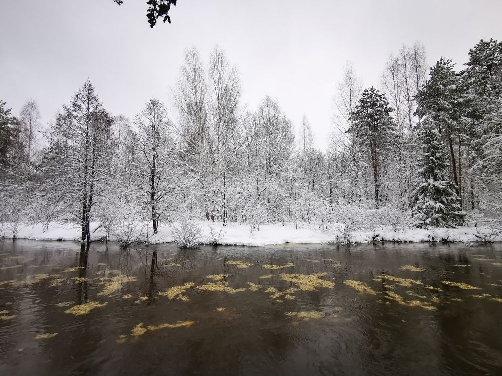 Photograph by Игорь Сапронов