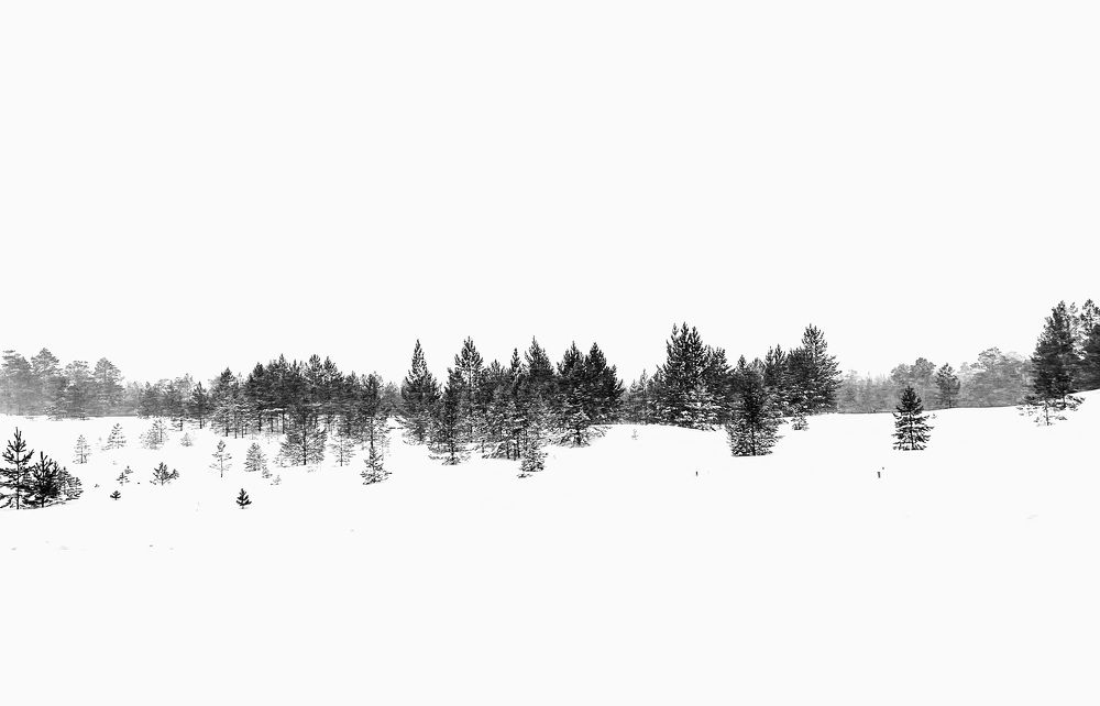 Photograph by Татьяна Блохина