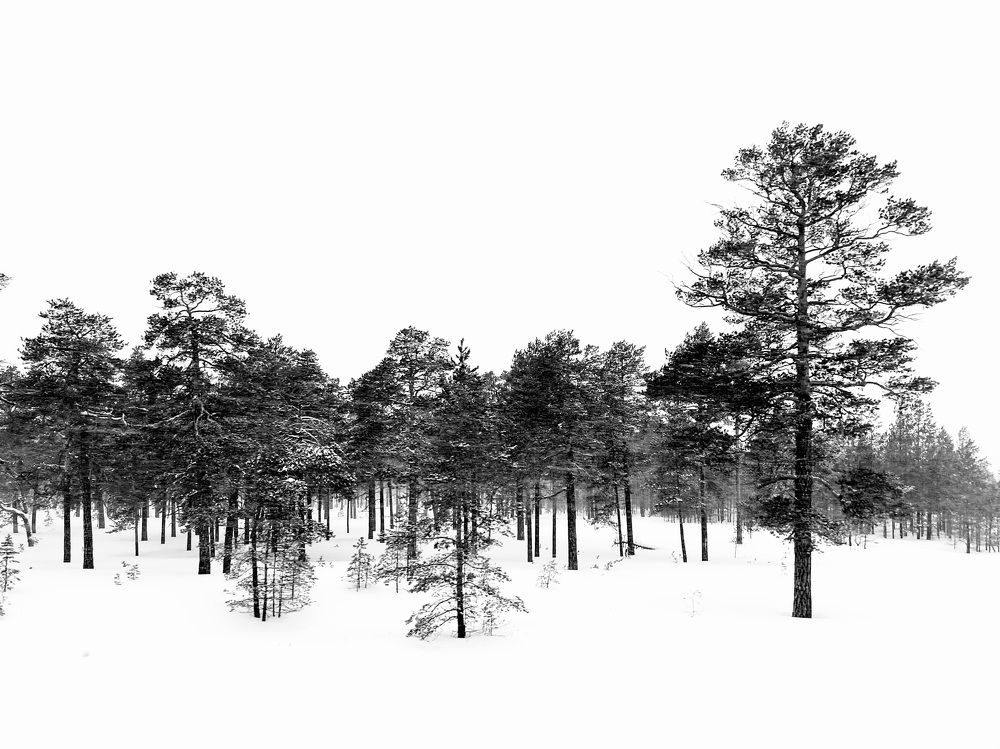 Photograph by Татьяна Блохина