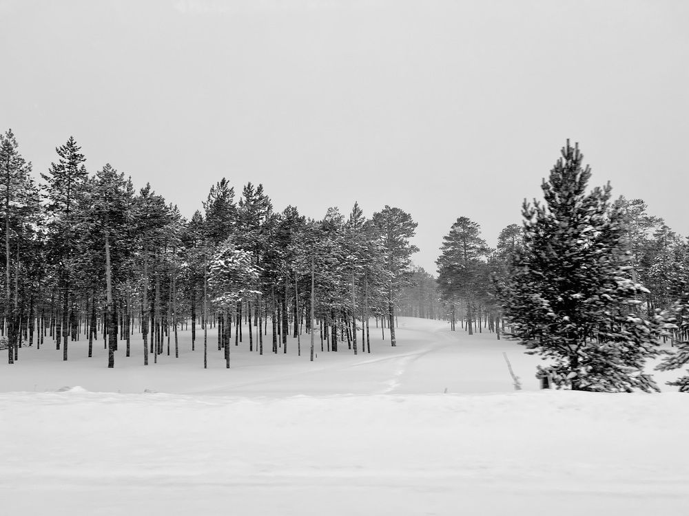 Photograph by Татьяна Блохина