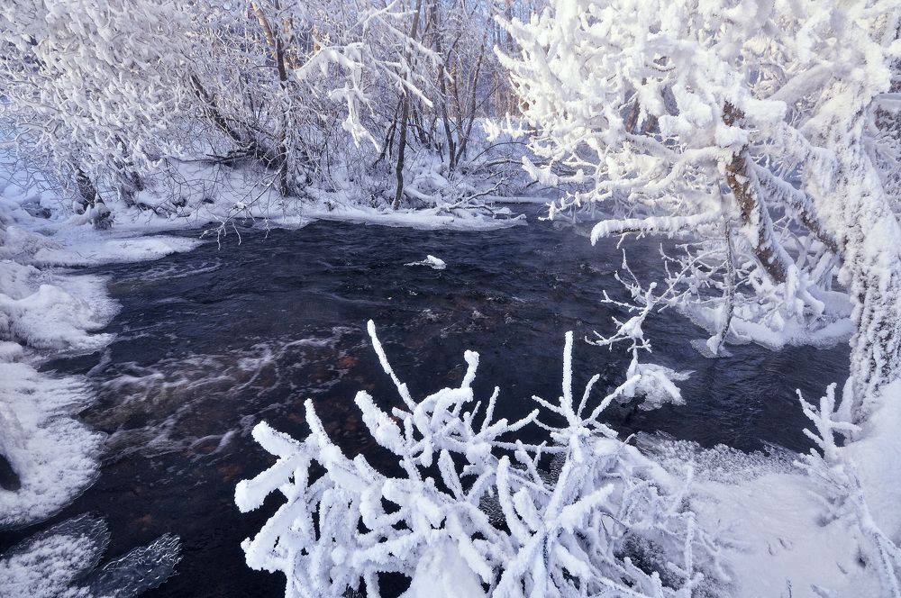 Photograph by Андрей Куликов