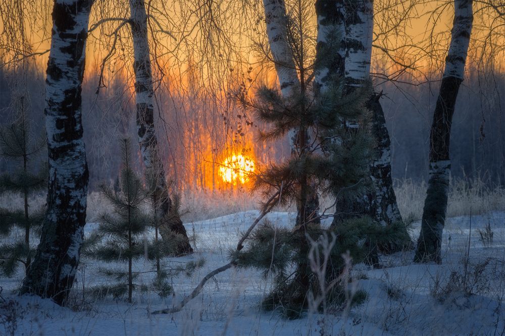 Photograph by Владимир