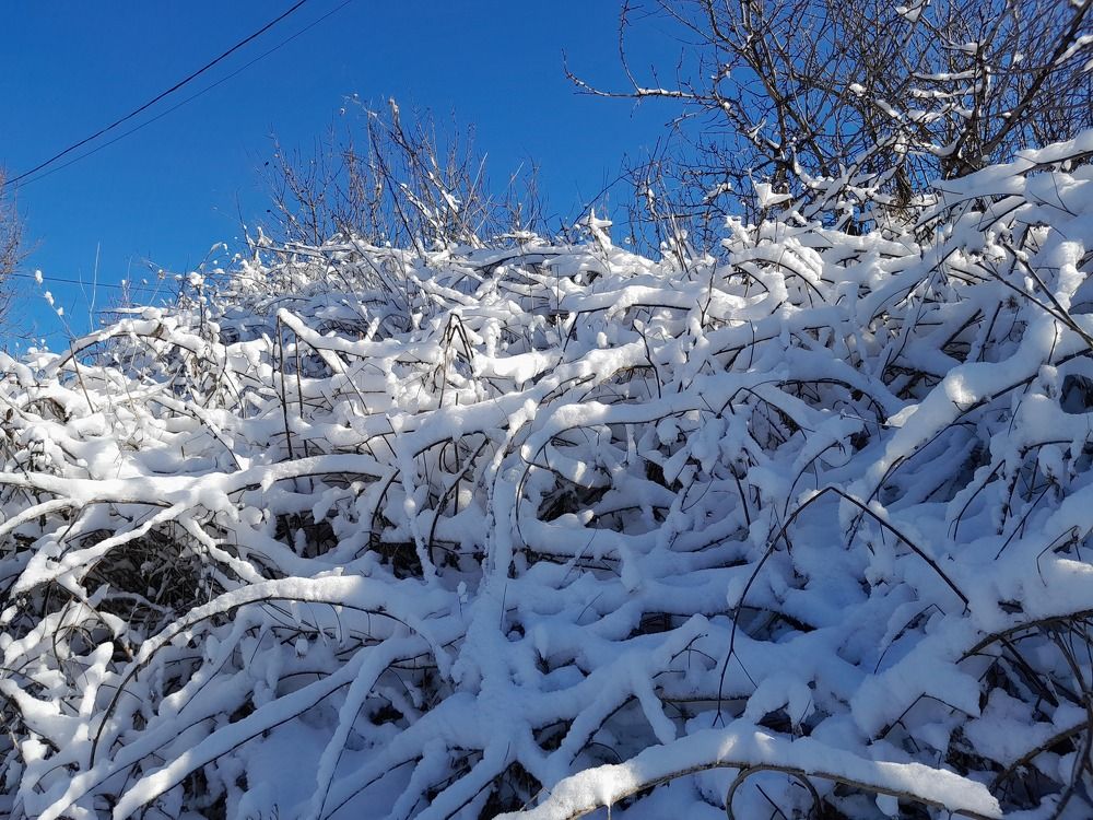 Photograph by Татьяна Ситникова