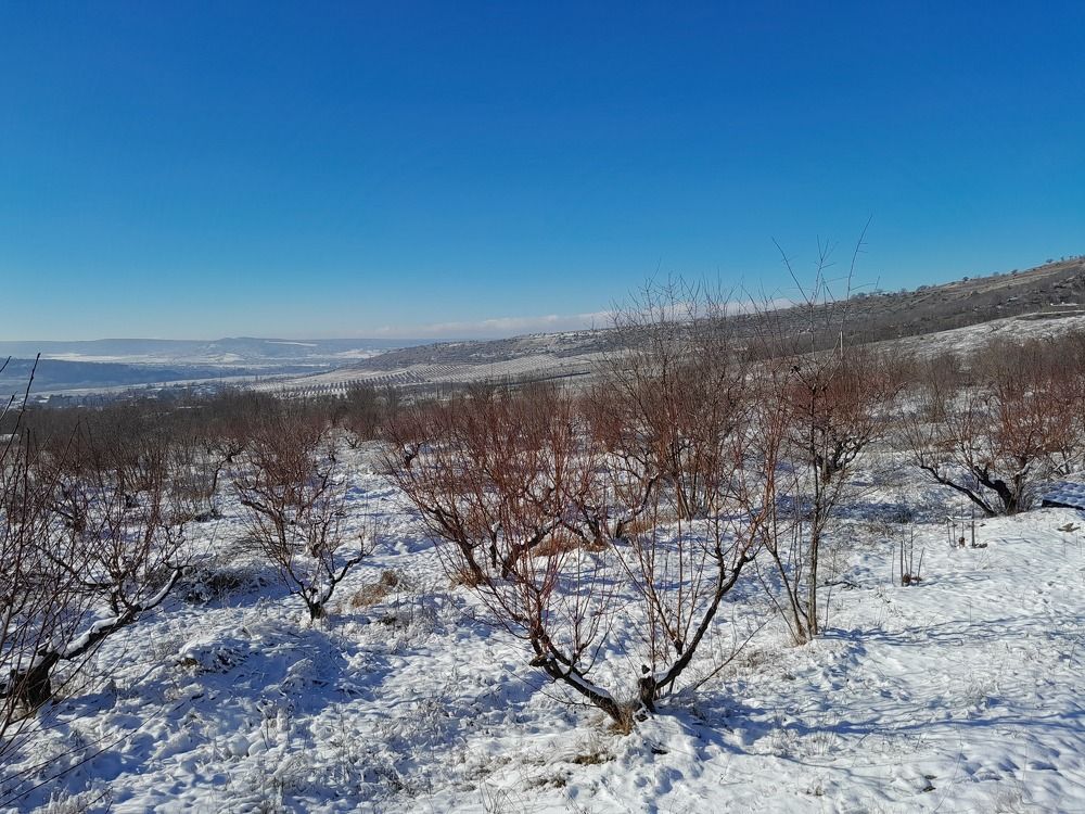 Photograph by Татьяна Ситникова