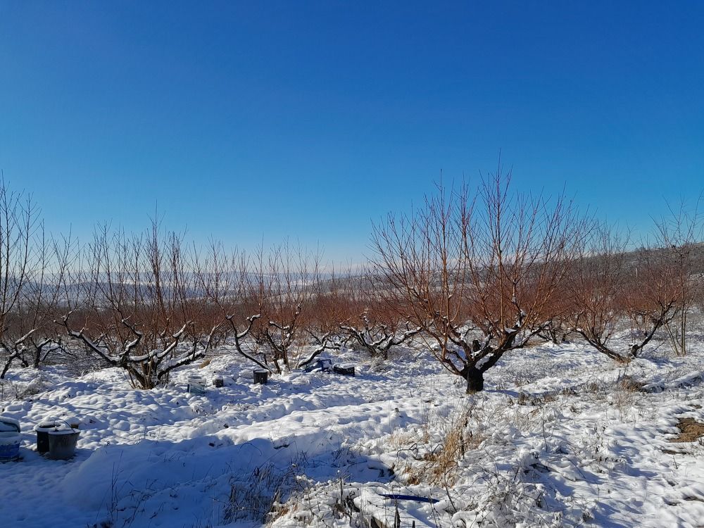 Photograph by Татьяна Ситникова