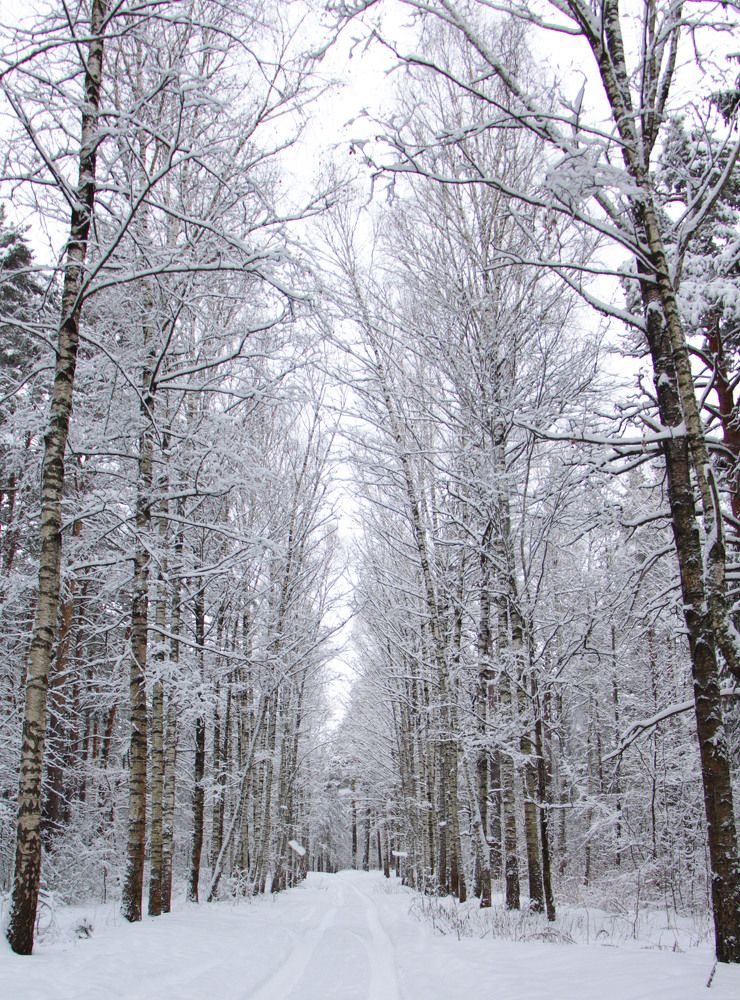 Photograph by Ольга Чибисова