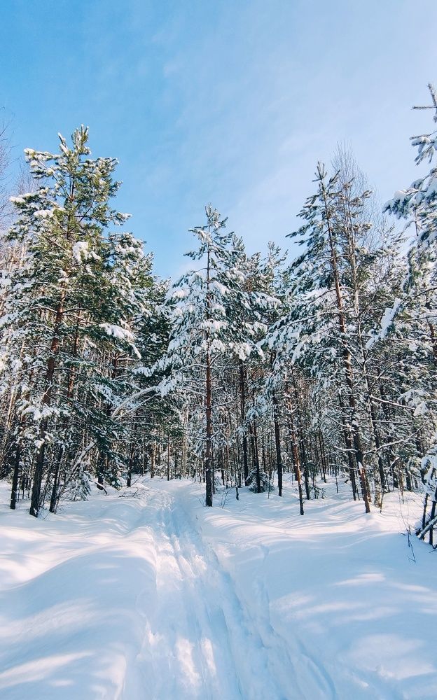 Photograph by Ольга Чибисова