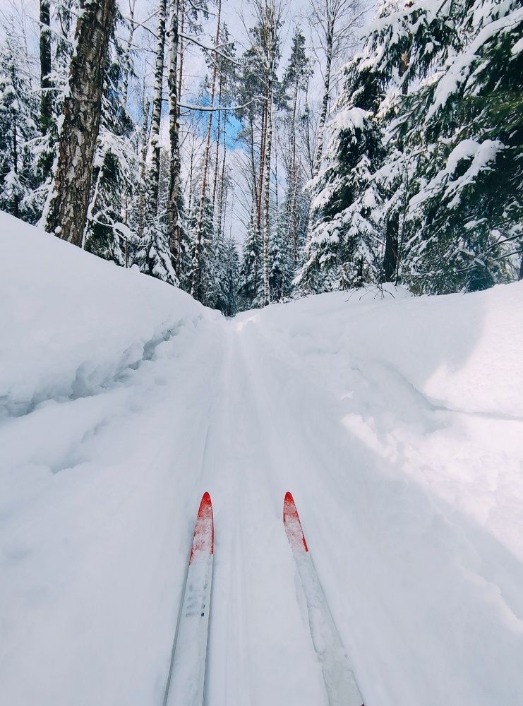 Photograph by Ольга Чибисова