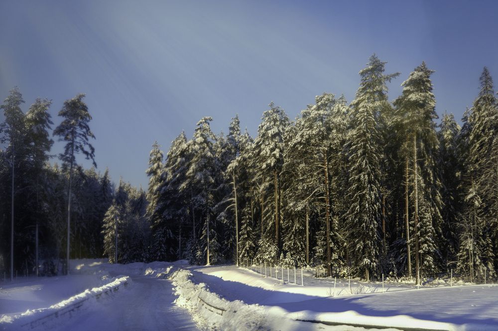 Photograph by Виктория   Никонова