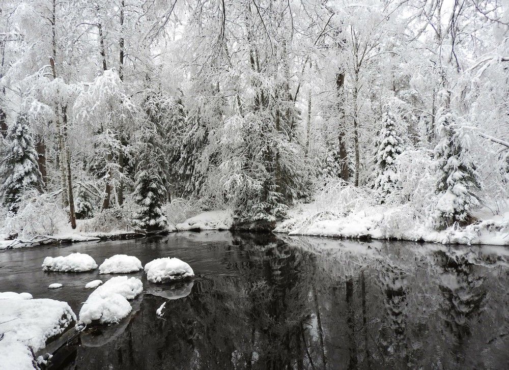 Фотография автора Юлия Овчинникова
