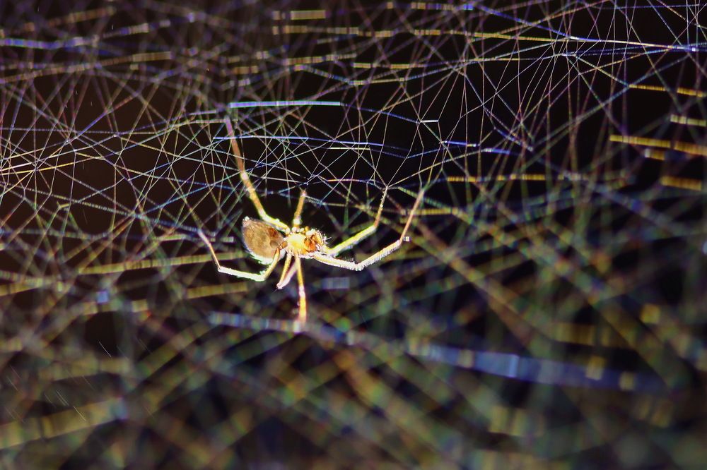 Photograph by Прокопов Григорий