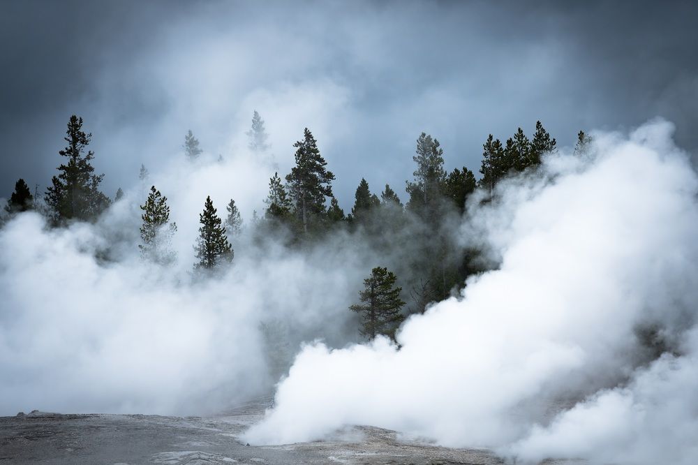 Photograph by Agnieszka Wieczorek