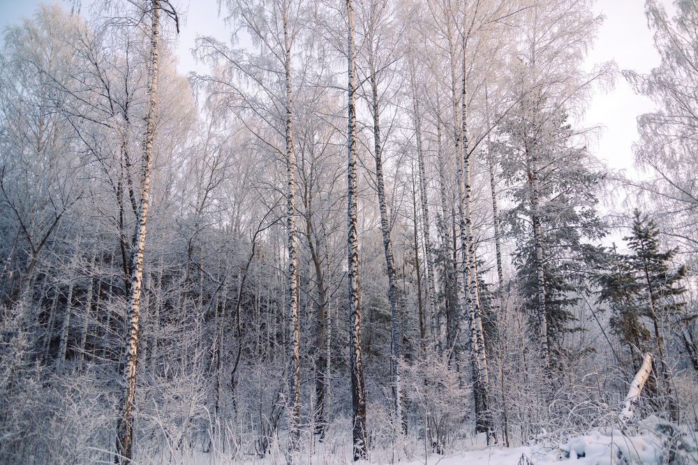 Photograph by Елена Граф