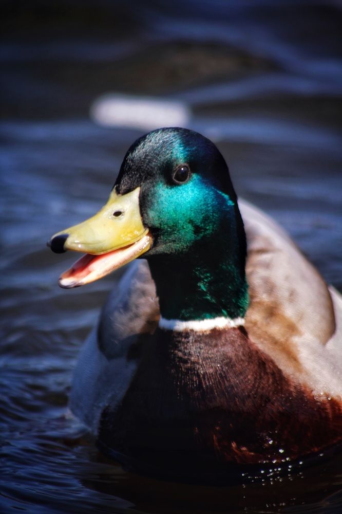 Photograph by Астафьева Анастасия