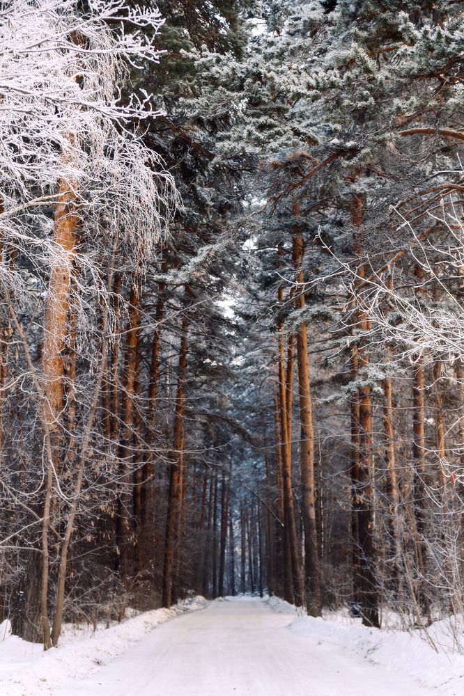 Photograph by Елена Граф