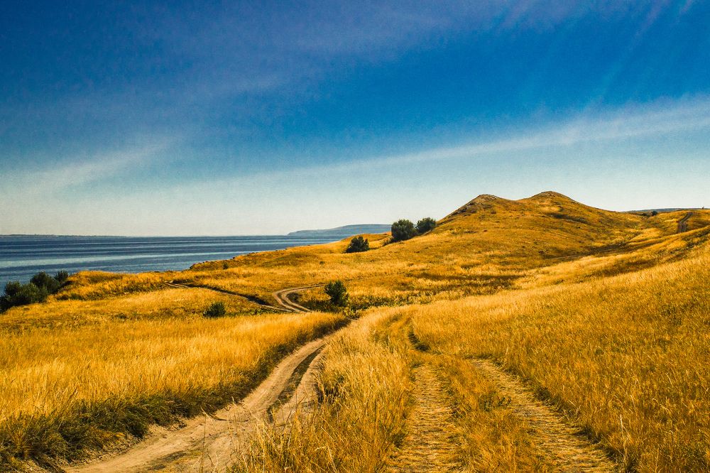 Photograph by Алла Никушкина