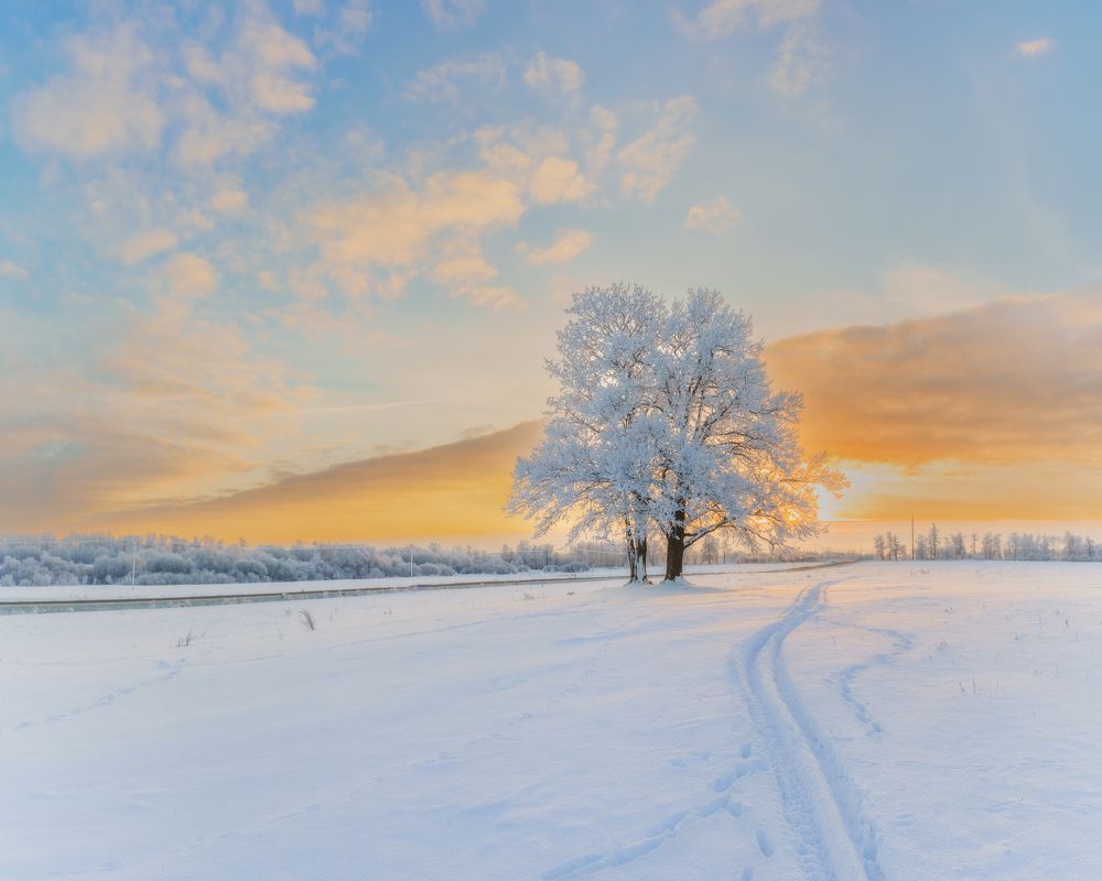 Photograph by Елена Лидмец