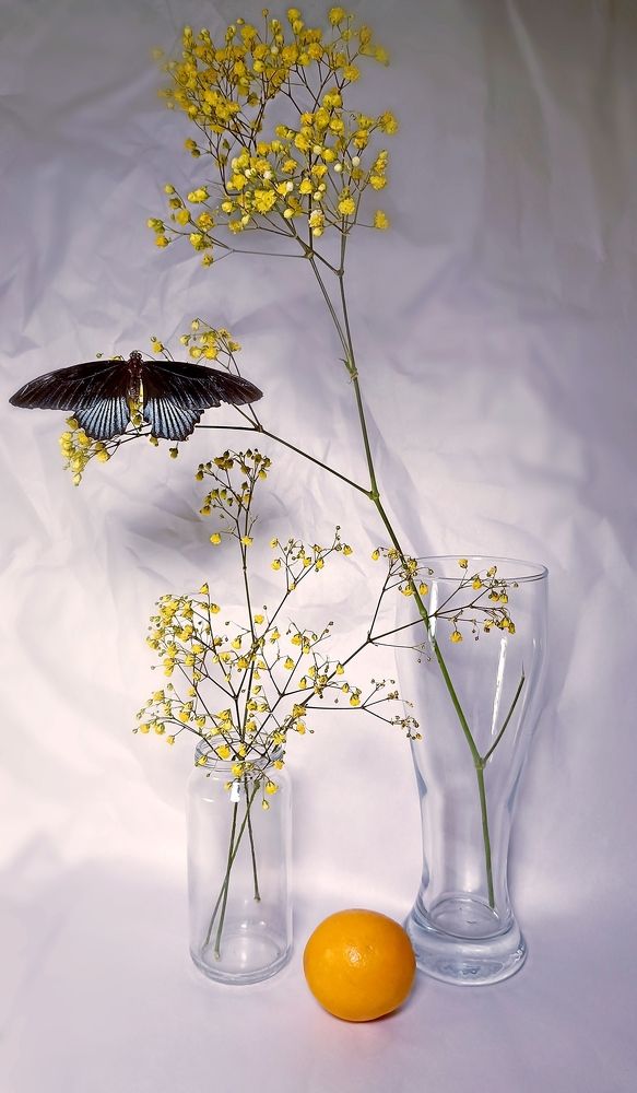 Photograph by Олеся Лосыгина